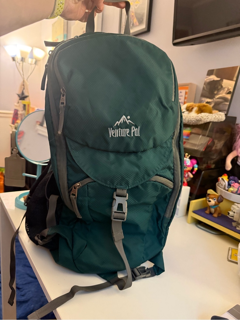 Venture Pal Men's Green Daypack Backpack